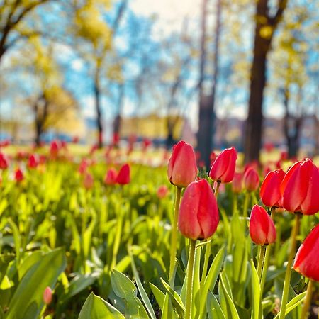 Schoene Aussichten Mitten In Berlin - Il Sole エクステリア 写真
