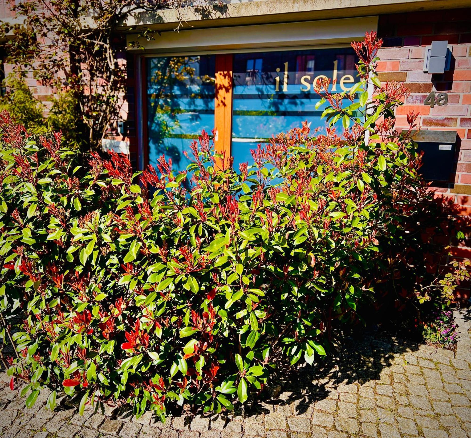 Schoene Aussichten Mitten In Berlin - Il Sole エクステリア 写真