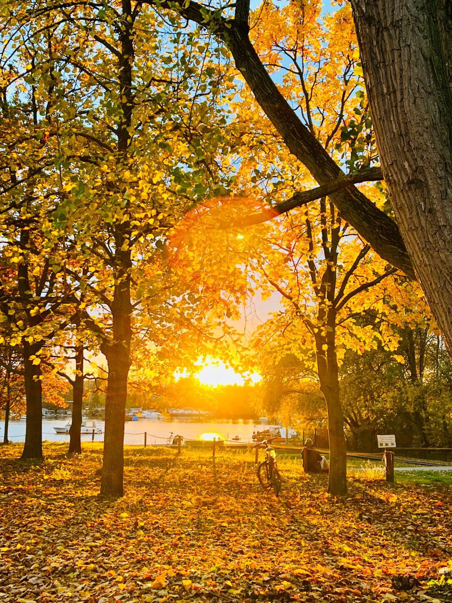 Schoene Aussichten Mitten In Berlin - Il Sole エクステリア 写真