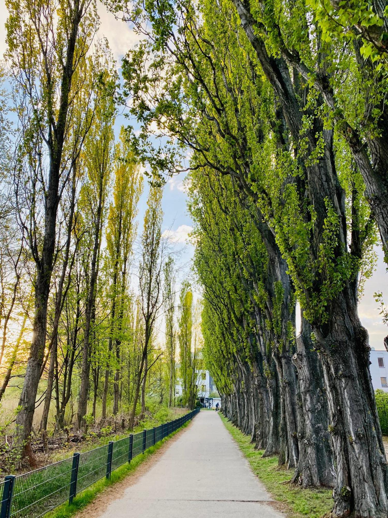 Schoene Aussichten Mitten In Berlin - Il Sole エクステリア 写真